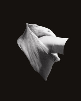 KAARINA-SIRKKU